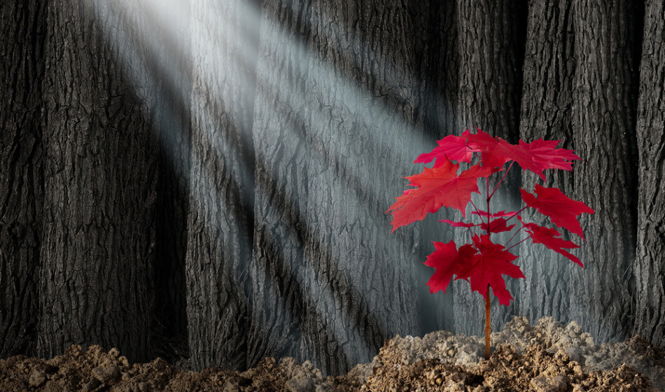 Collaboration – the missing ingredient